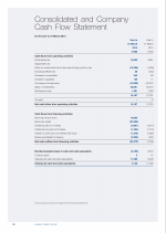Consolidated and Company Cash Flow Statement