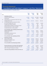 Consolidated and Individual Company Cash Flow Statements