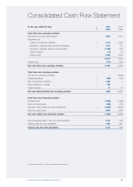 Consolidated Cash Flow Statement