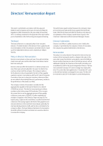 Directors' Remuneration Report