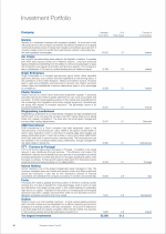 Investment Portfolio