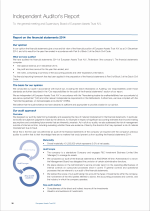 Independent Auditor's Report