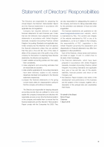 Statement of Directors' Responsibilities