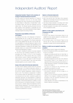 Independent Auditors' Report