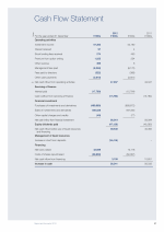 Cash Flow Statement
