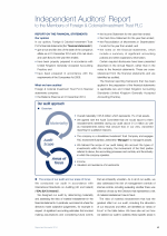 Independent Auditors' Report