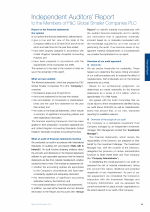 Independent Auditors' Report