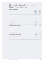 Consolidated and Company Cash Flow Statement