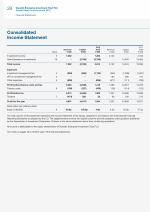 Consolidated Income Statement