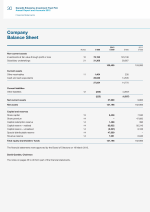 Company Balance Sheet