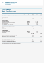 Consolidated Cash Flow Statement