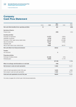 Company Cash Flow Statement