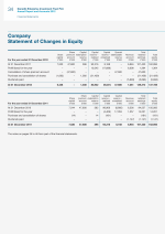 Company Statement of Changes in Equity