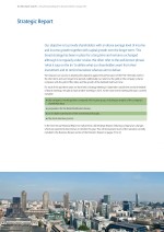 Strategic Report