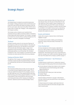 Strategic Report
