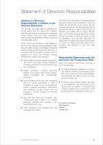 Statement of Directors' Responsibilities